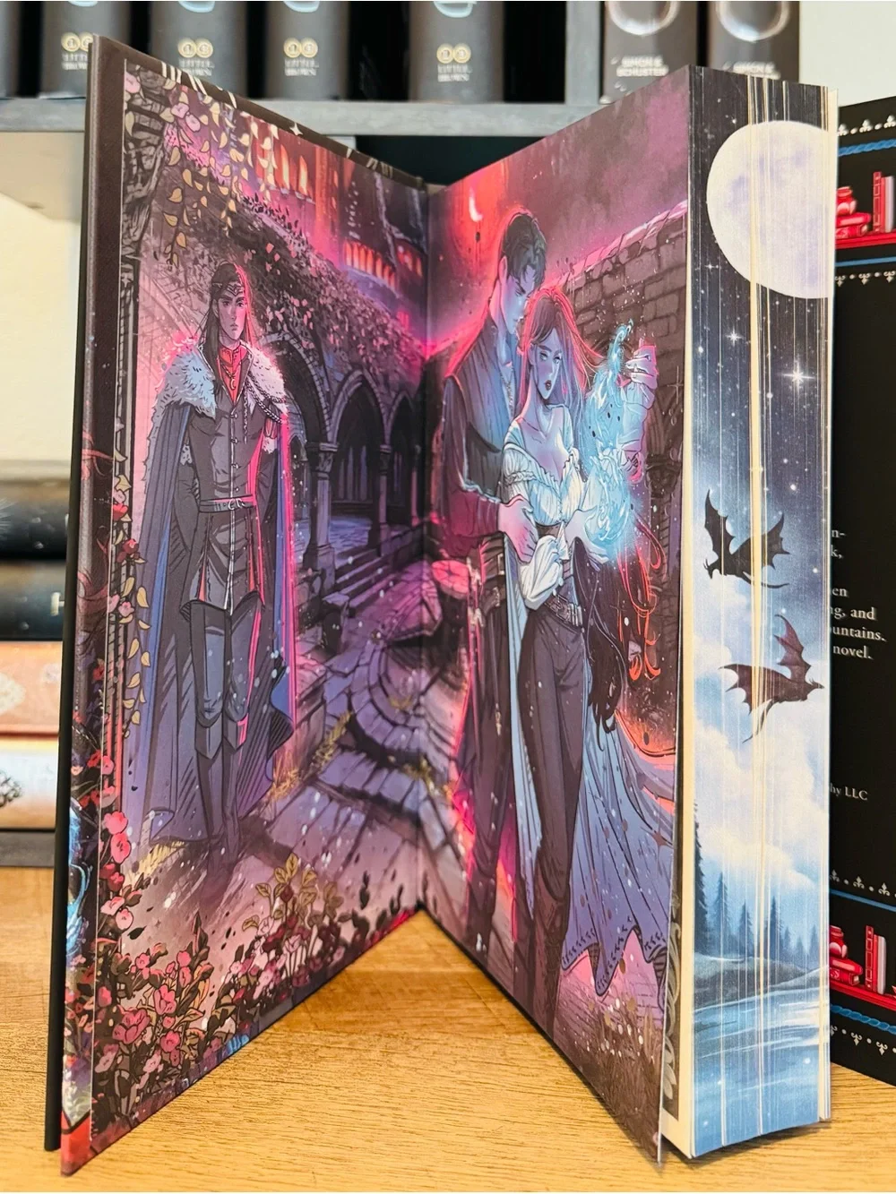 Fairyloot Exclusive The Witch in the Dead of Night by Charlotte Buckley